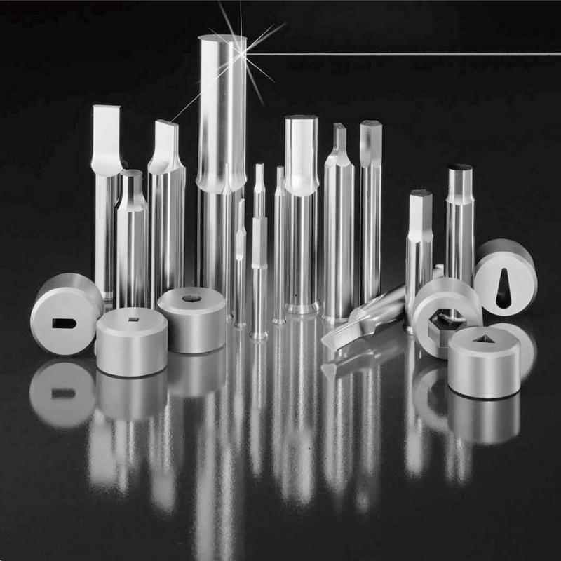 0.002mm Tolerance Precision Punches Dies Pins Plastic Injection Mold Components
